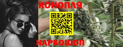мяу мяу мука Краснознаменск