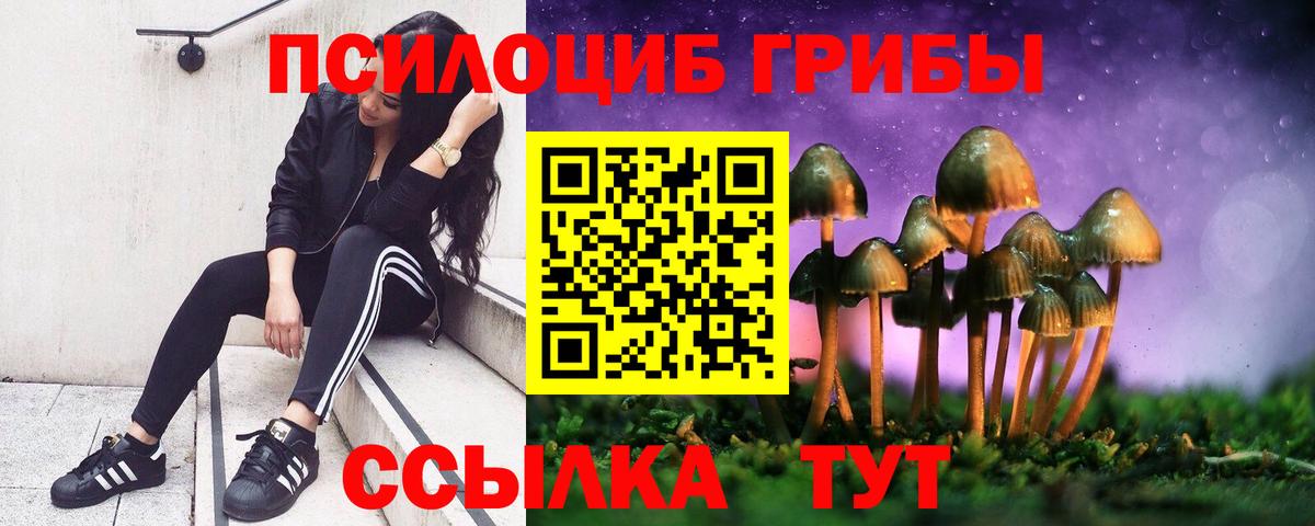 Псилоцибиновые грибы мицелий Каменск-Уральский